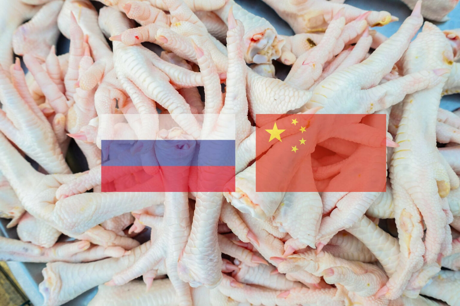 Chicken feet from Russia to China.jpeg